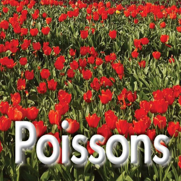 Poissons mars 2023