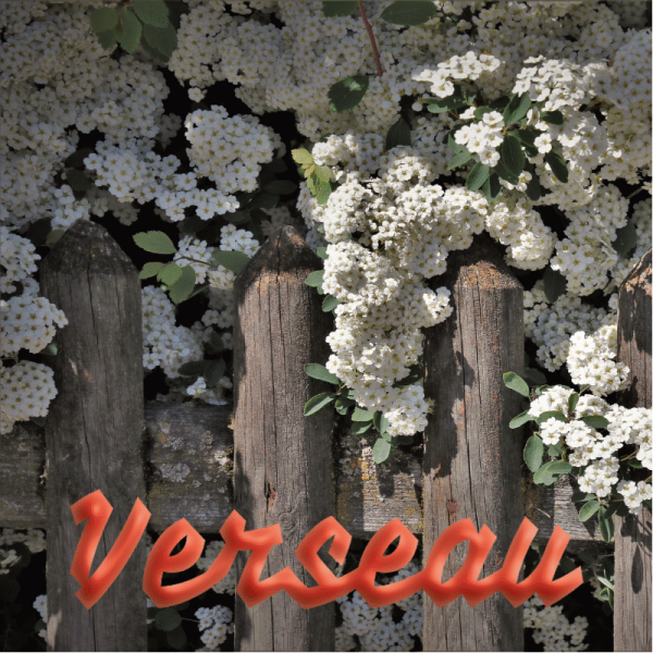 Verseau avril 2023