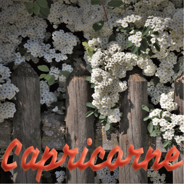 Capricorne avril 2023