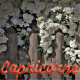 Capricorne avril 2023