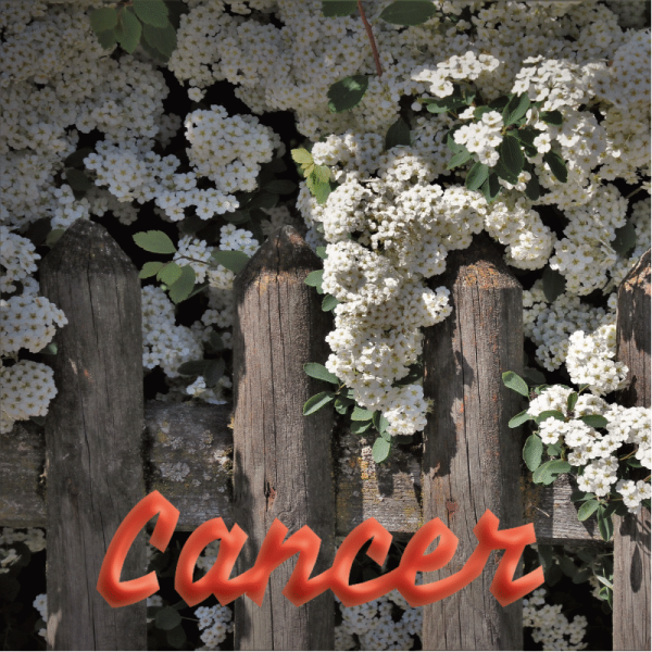 Cancer avril 2023