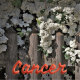 Cancer avril 2023