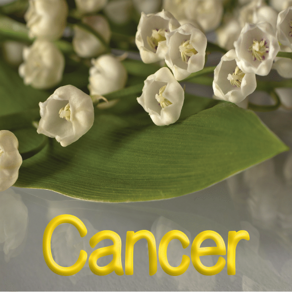 Cancer mai 2023