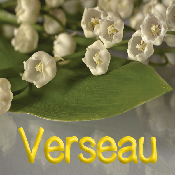 Verseau mai 2023