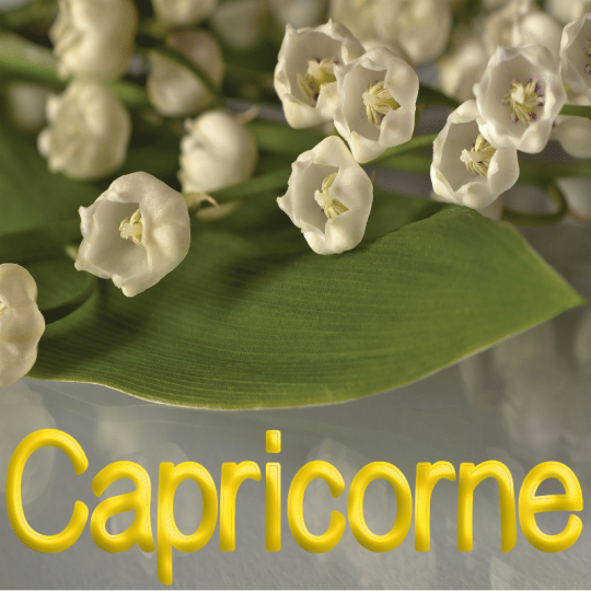 Capricorne mai 2023