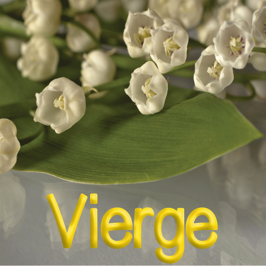 Vierge mai 2023