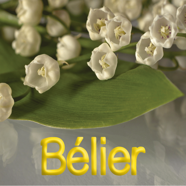 Bélier mai 2023