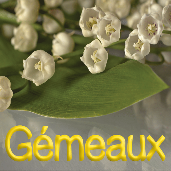 Gémeaux mai 2023