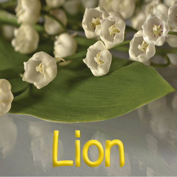 Lion mai 2023