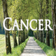 Cancer juin 2023