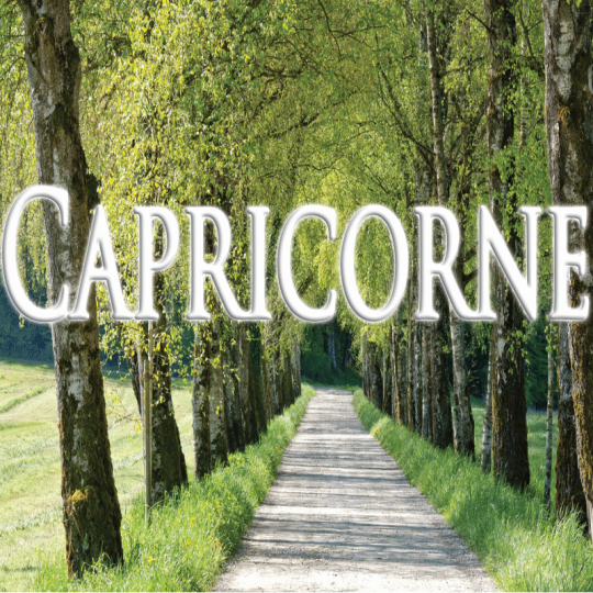 Capricorne juin 2023