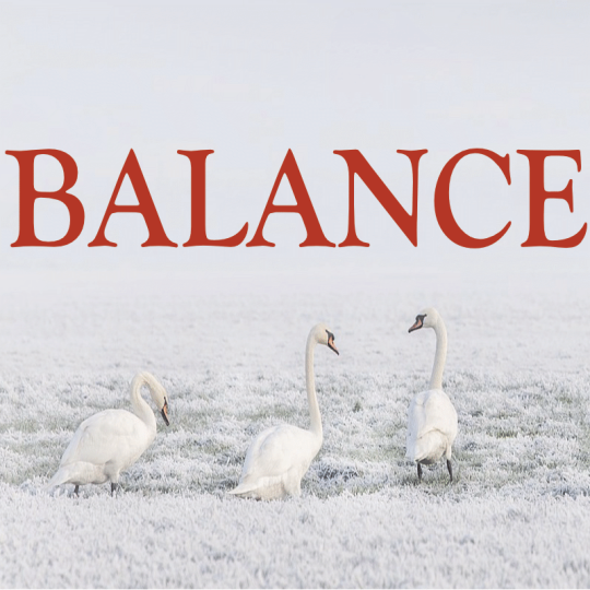 Balance ~ Hors série - Projection 2023 partie 2