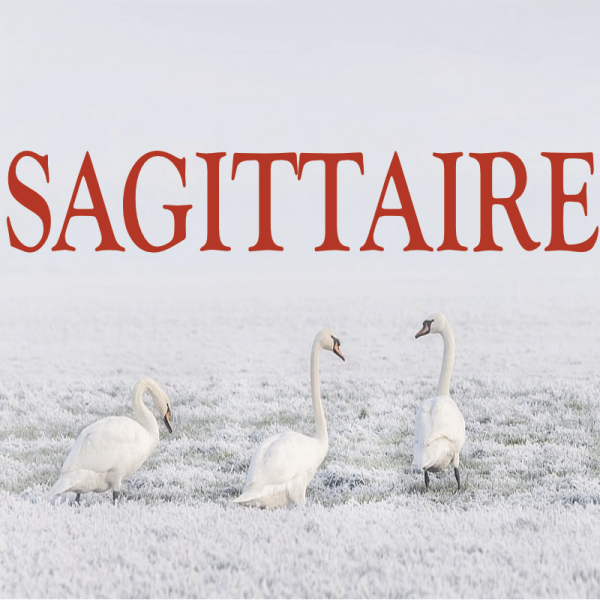 Sagittaire ~ Hors série - Projection 2023 partie 2