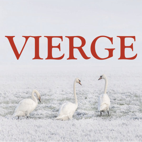 Vierge ~ Hors série – Projection 2023 partie 2