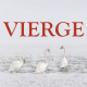 Vierge ~ Hors série – Projection 2023 partie 2