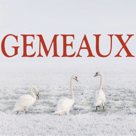 Gémeaux ~ Hors série - Projection 2023 partie 2