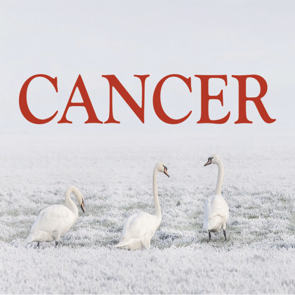 Cancer ~ Hors série - Projection 2023 partie 2