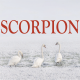 Scorpion ~ Hors série – Projection 2023 partie 2