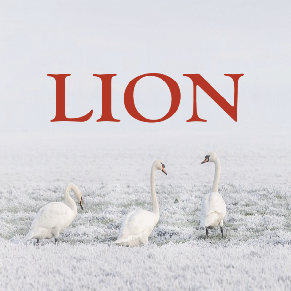 Lion ~ Hors série - Projection 2023 partie 2