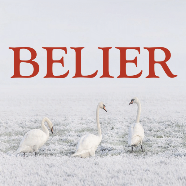 Bélier ~ Hors série – Projection 2023 partie 2