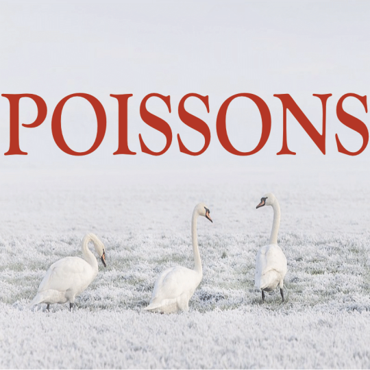Poissons ~ Hors série - Projection 2023 partie 2