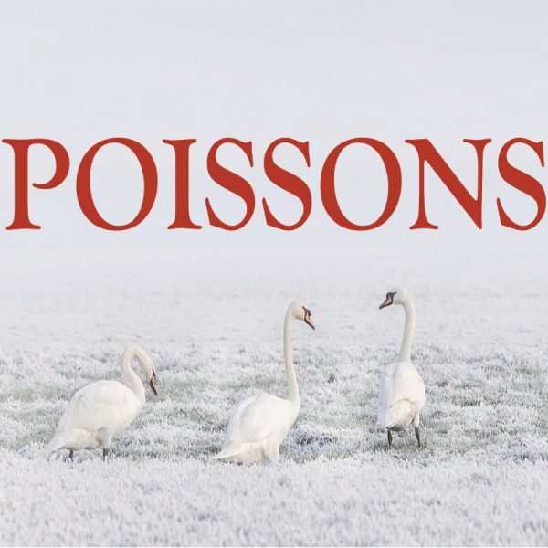 Poissons ~ Hors série - Projection 2023 partie 2