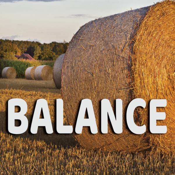 Balance août 2023