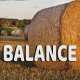 Balance août 2023