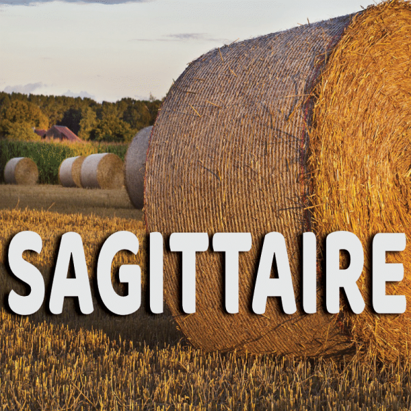 Sagittaire août 2023