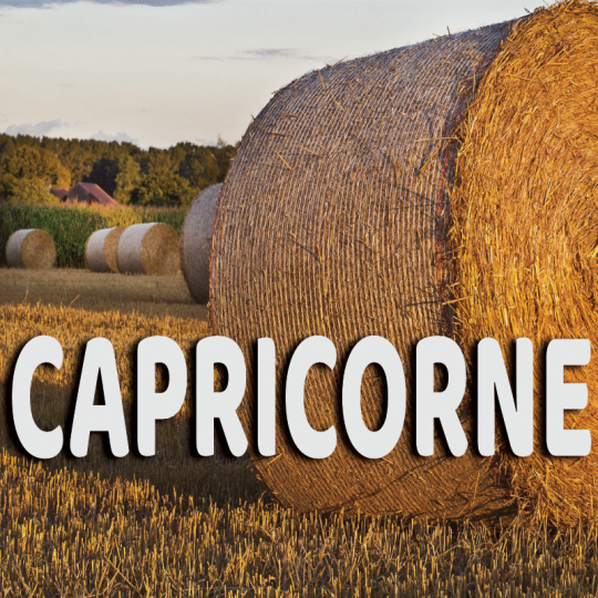 Capricorne août 2023
