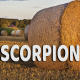 Scorpion août 2023