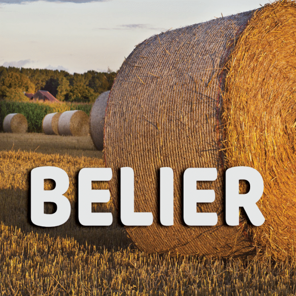Bélier août 2023