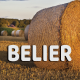 Bélier août 2023