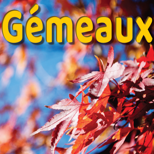 Gémeaux septembre 2023