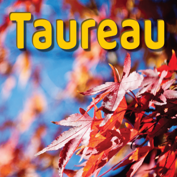 Taureau septembre 2023