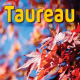 Taureau septembre 2023