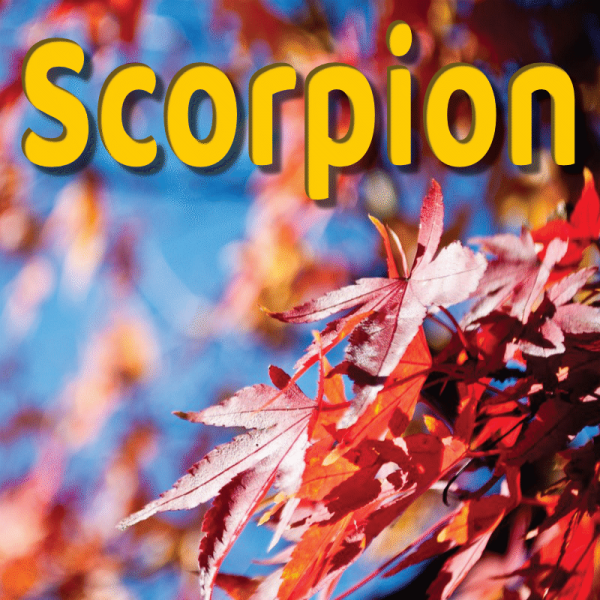 Scorpion septembre 2023