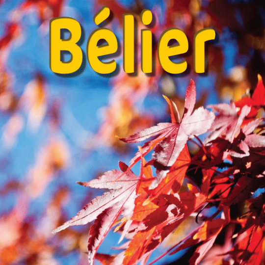 Bélier septembre 2023