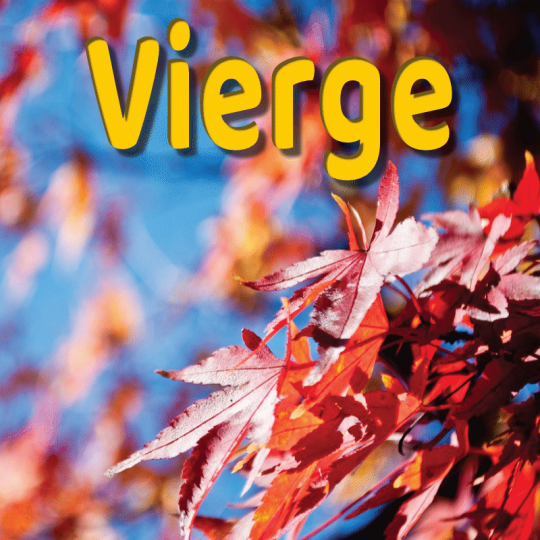 Vierge septembre 2023