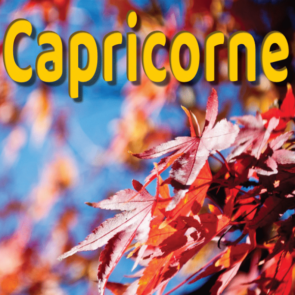 Capricorne septembre 2023