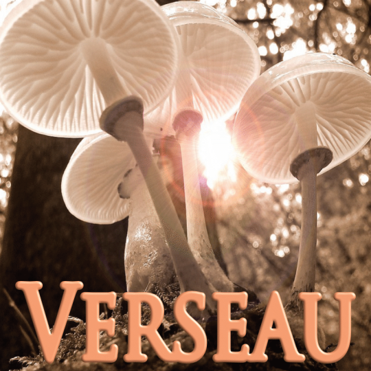 Verseau octobre 2023