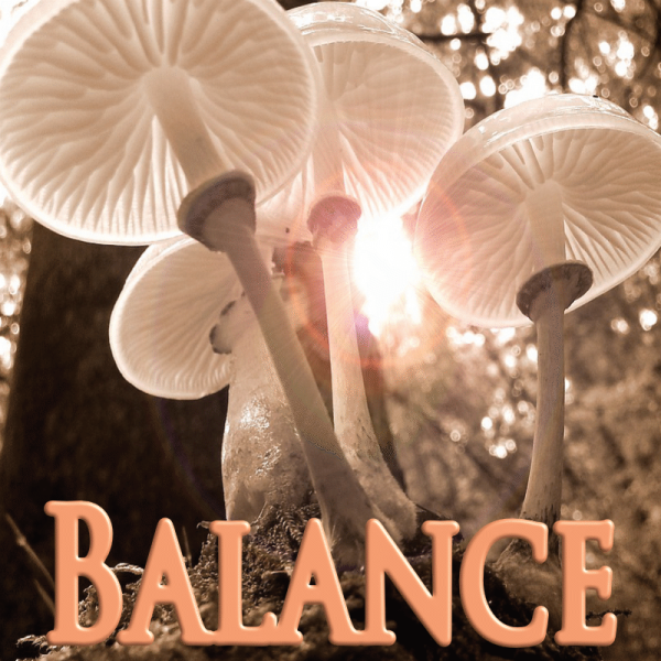 Balance octobre 2023