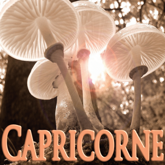 Capricorne octobre 2023
