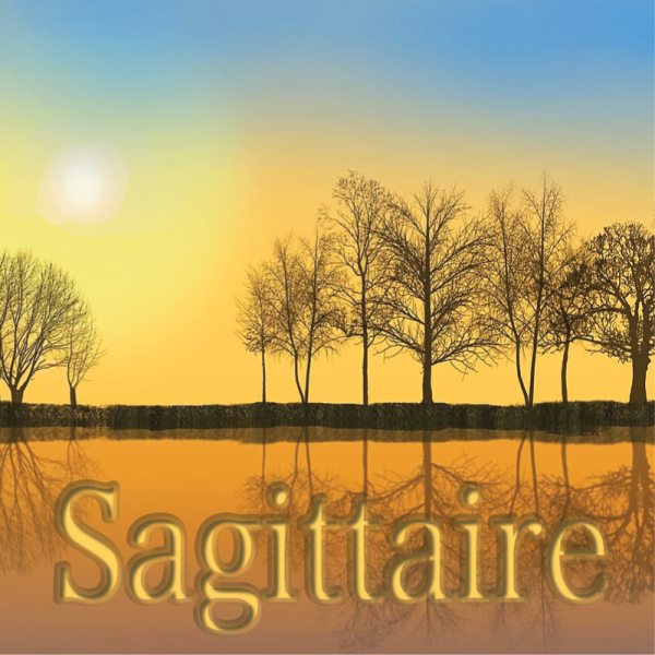 Sagittaire novembre 2023