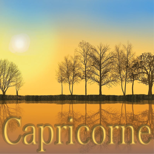 Capricorne novembre 2023