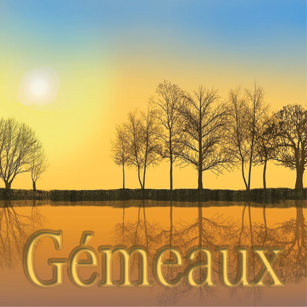 Gémeaux novembre 2023