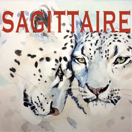 Sagittaire ~ Hors série - Projection 2024 partie 1