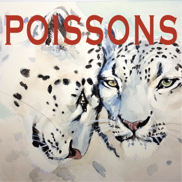 Poissons ~ Hors série - Projection 2024 partie 1