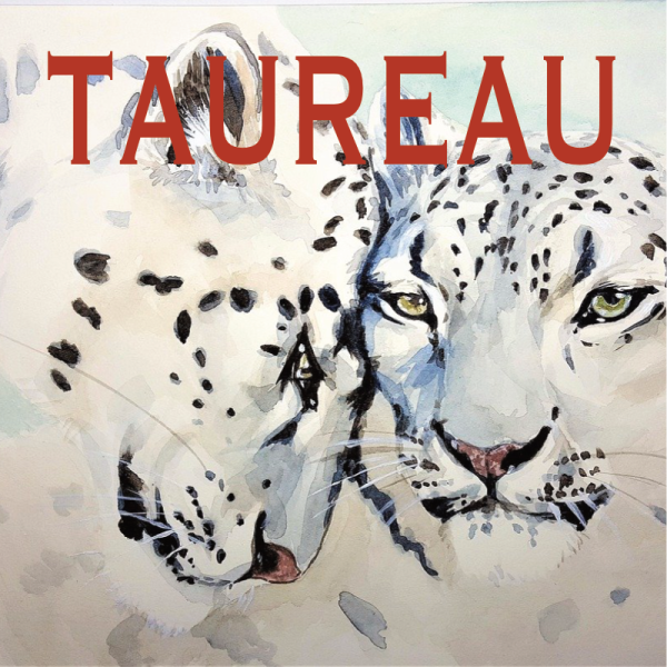 Taureau ~ Hors série – Projection 2024 partie 1