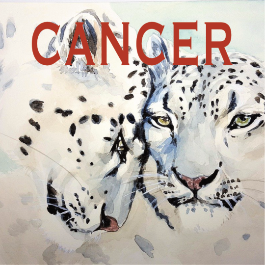 Cancer ~ Hors série - Projection 2024 partie 1